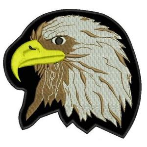 Kotkan päälaastari