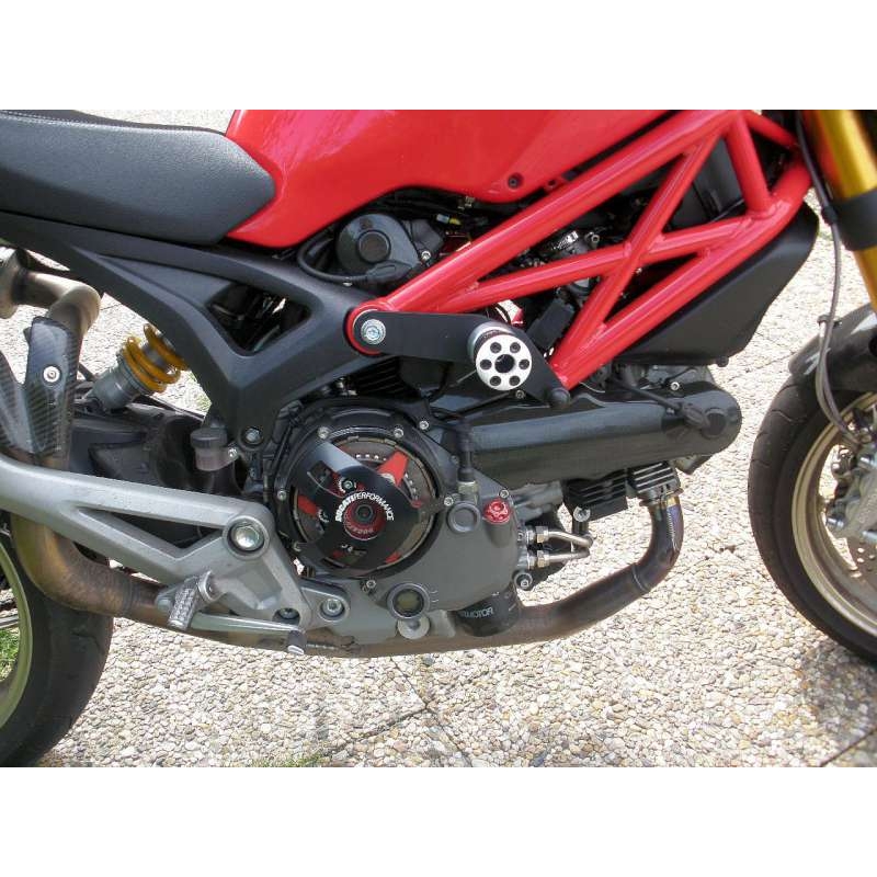 DUCATI Monster 796 Gatling(ZO)