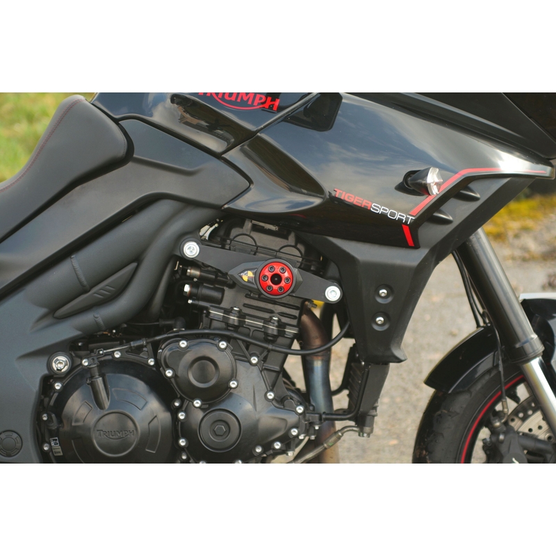 Triumph TIGER SPORT 1050 (13-) Nuoli