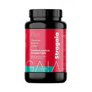 Pikaruoka GAIA Stragaia 1 kg mansikka