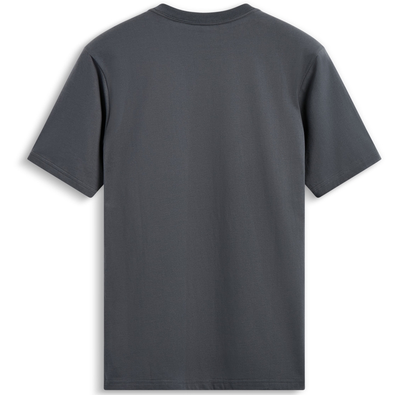 T-paita Alpinestars Waving Patch CSF harmaa