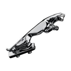 Fenderin koristelu Panther