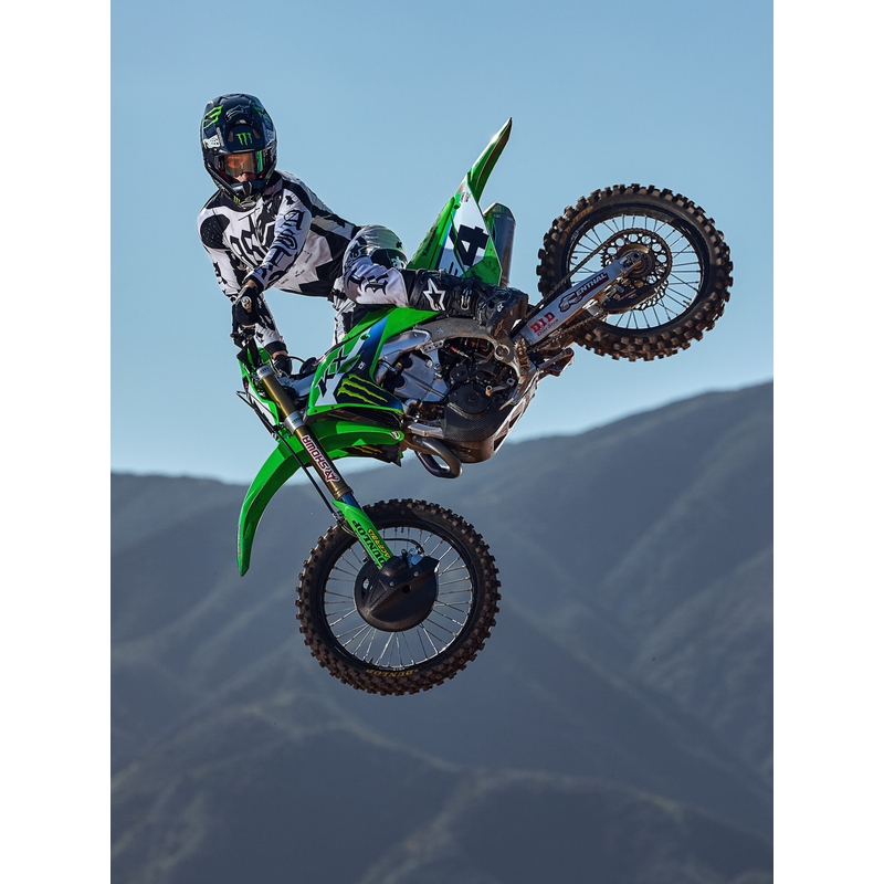 Alpinestars Techstar Limited Edition Wolf Dust crossihousut hiekanmusta